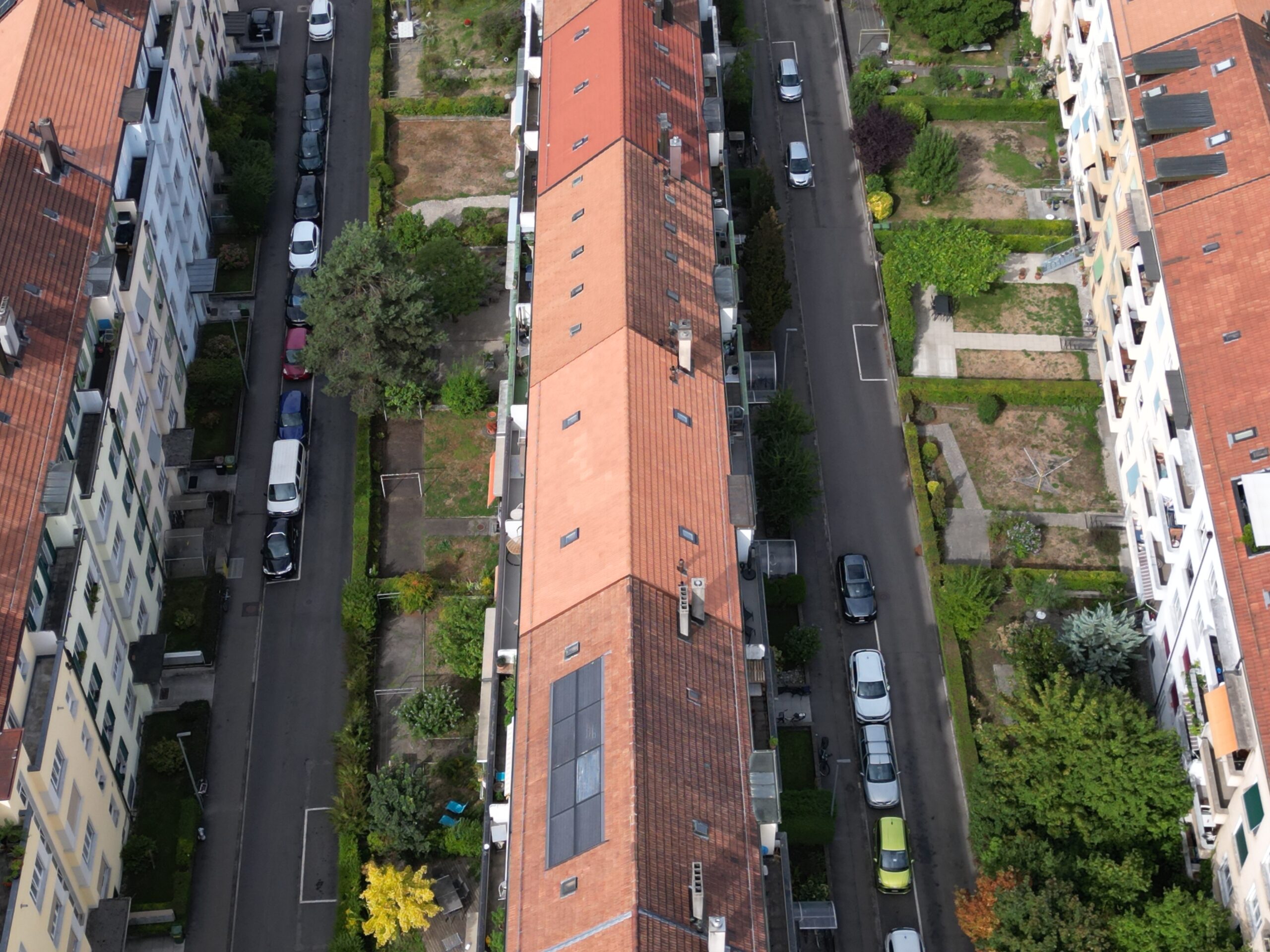 https://www.allegraplus.ch/wp-content/uploads/2026/10/20260827_082226000_iOS-scaled.jpg